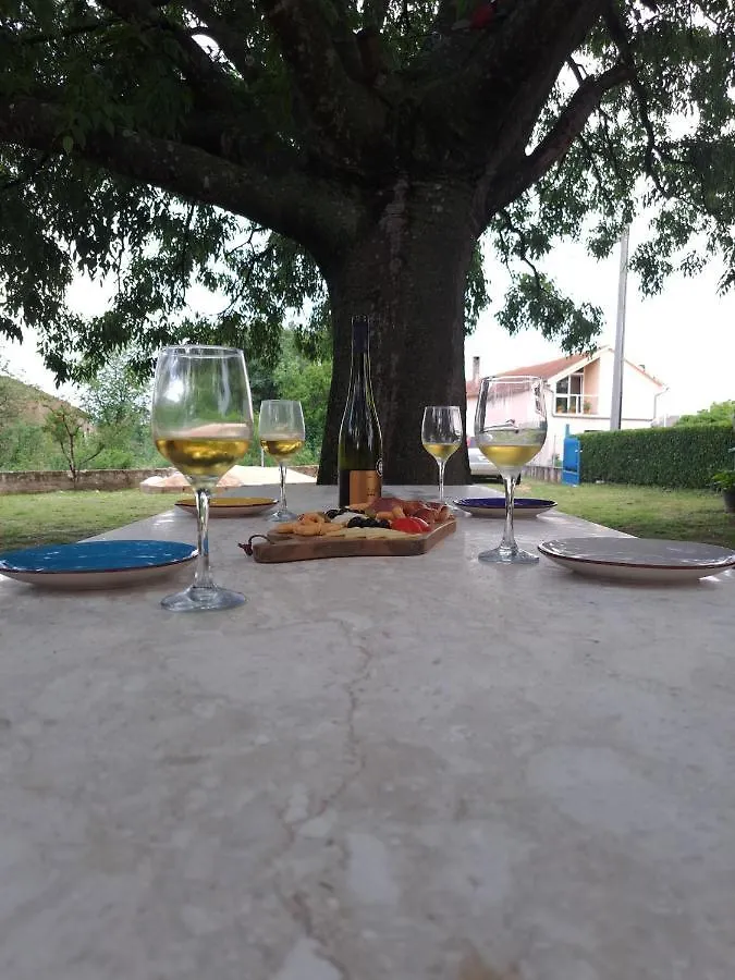 Holiday home Kuca Dida Jure Villa Pridraga Croatia