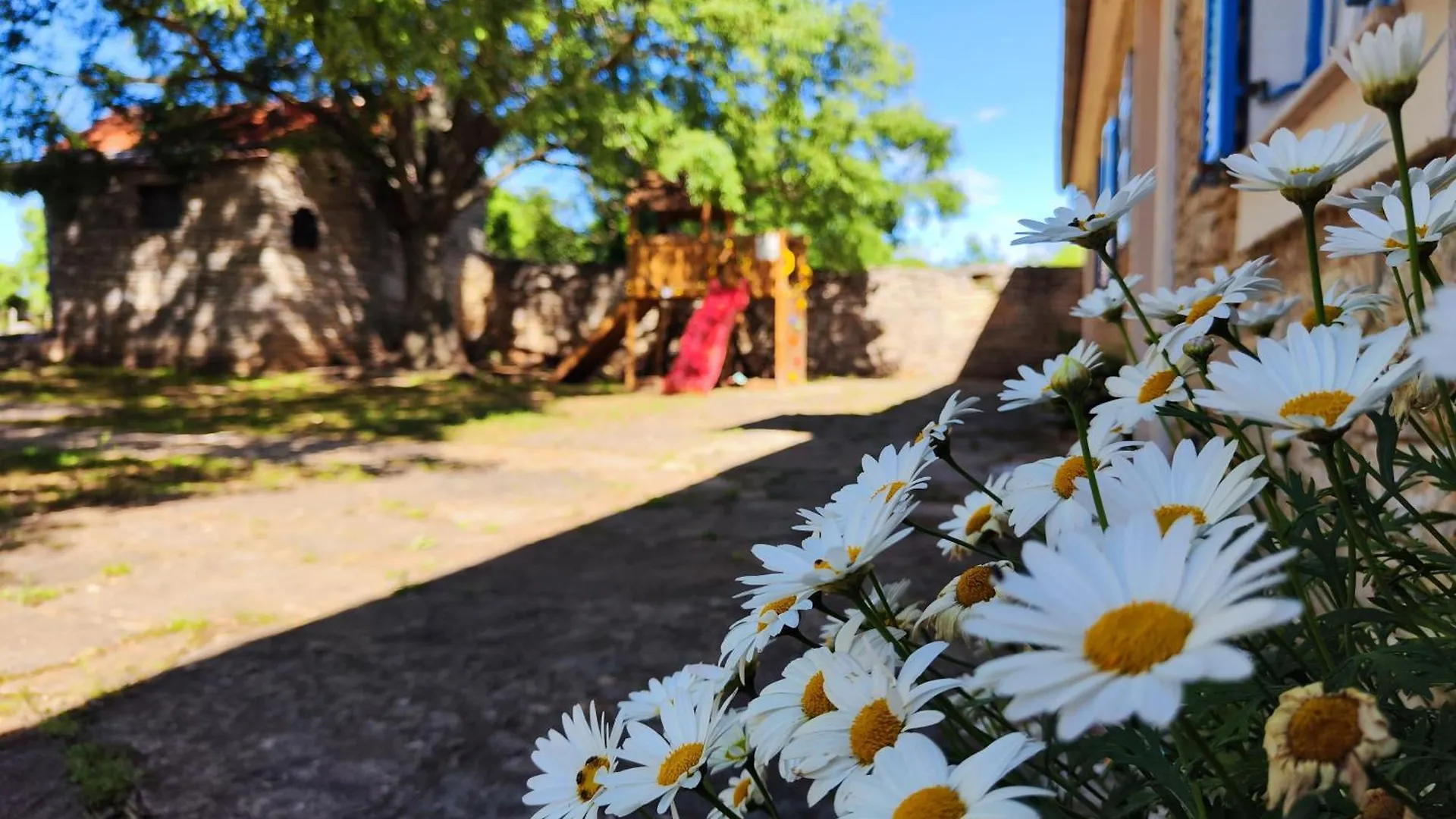 Kuca Dida Jure Villa Pridraga Holiday home